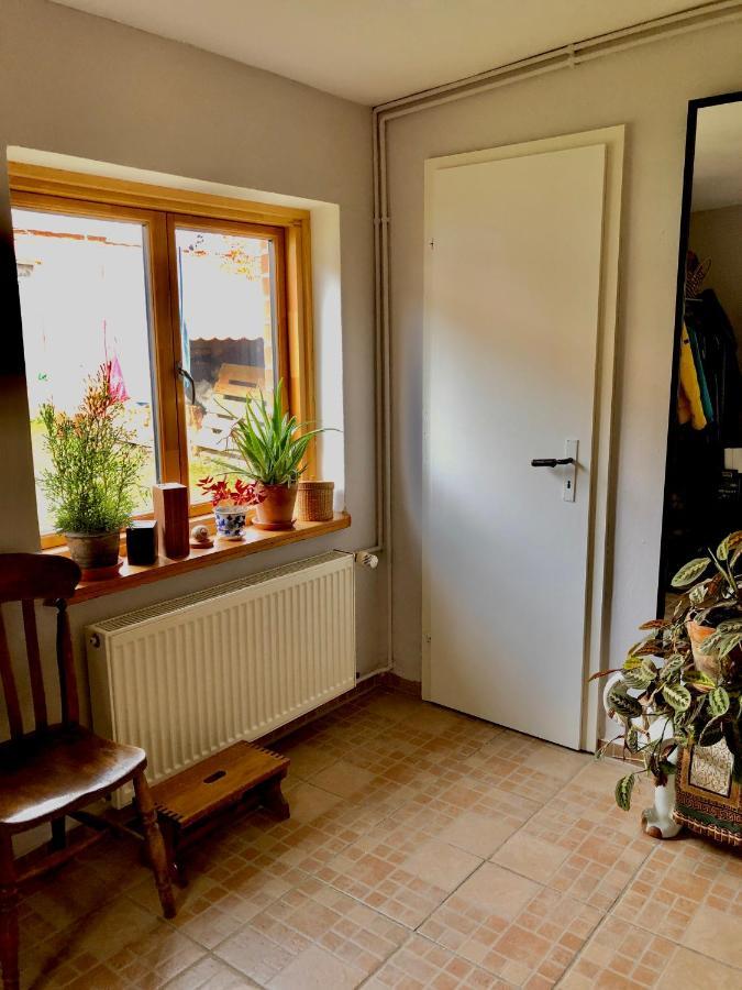 Gemuetliches Studio-Apartment In Ostseenaehe - Cosy Wulfi Probsteierhagen Экстерьер фото