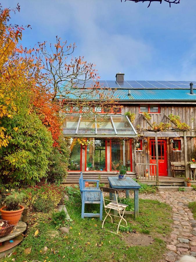 Gemuetliches Studio-Apartment In Ostseenaehe - Cosy Wulfi Probsteierhagen Экстерьер фото